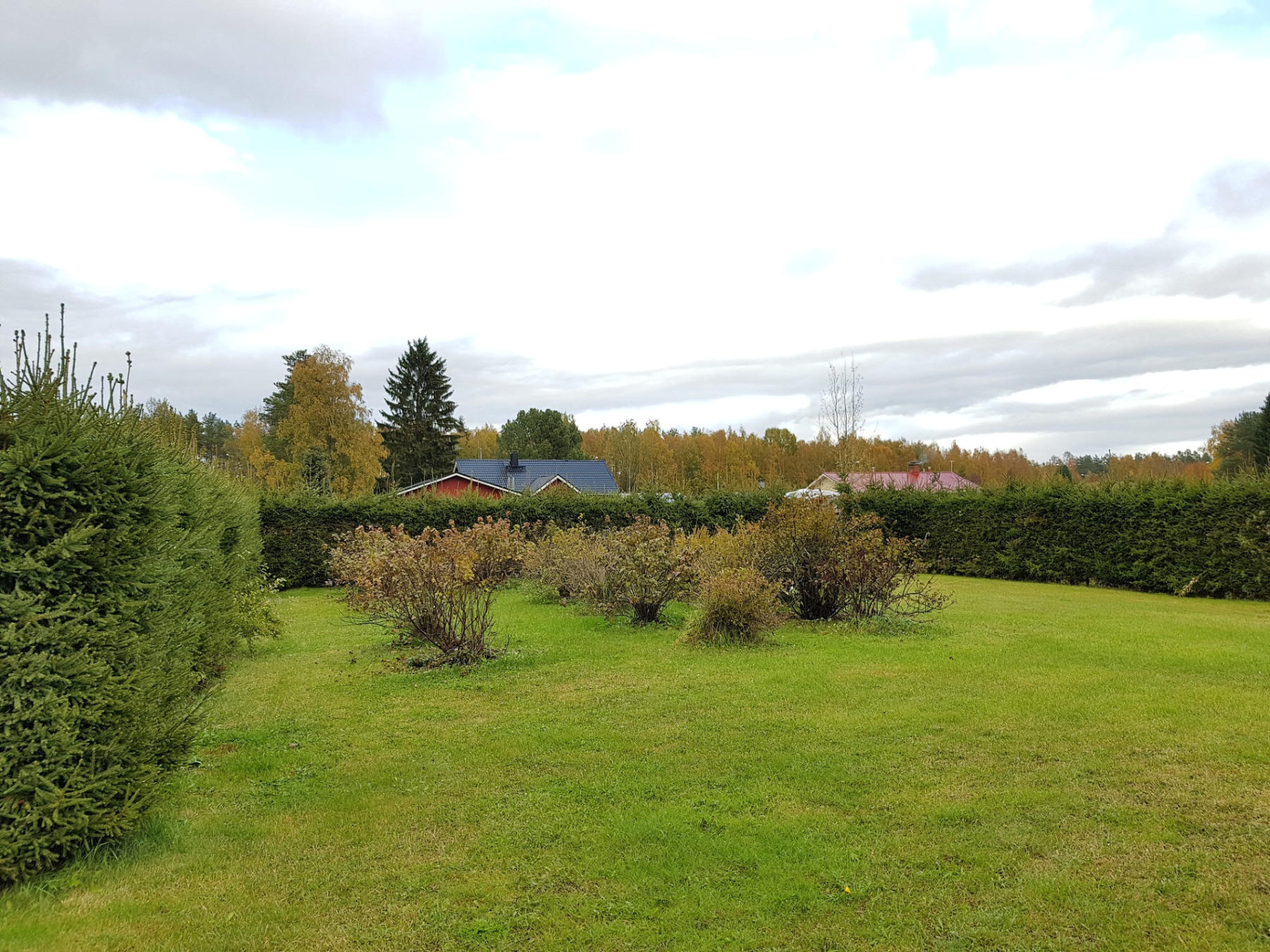 tarkastamontie-03.jpg